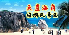 www操逼h版电影卡海南三亚-天崖海角旅游风景区